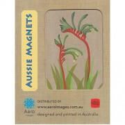 Magnet - Kangaroo Paw by Gillian Mary